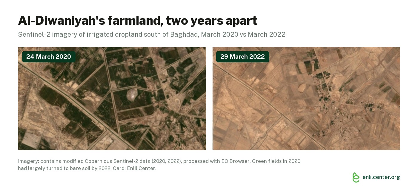 Side-by-side Sentinel-2 images of farmland near Al-Diwaniyah on 24 March 2020 and 29 March 2022, green fields largely turned to bare soil